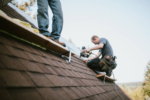 Best Roof Leak Repair  in Tahoma, CA